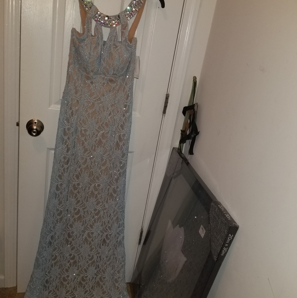 Jodi Prom/formal dress GORGEOUS